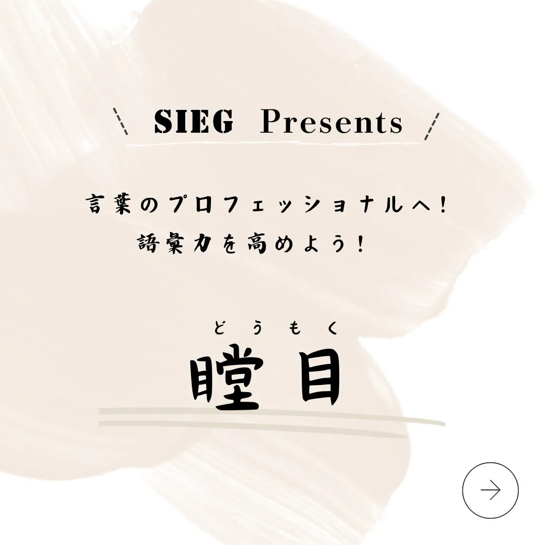 言葉のプロフェッショナルへ！語彙力を高めよう！～瞠目（どうも...