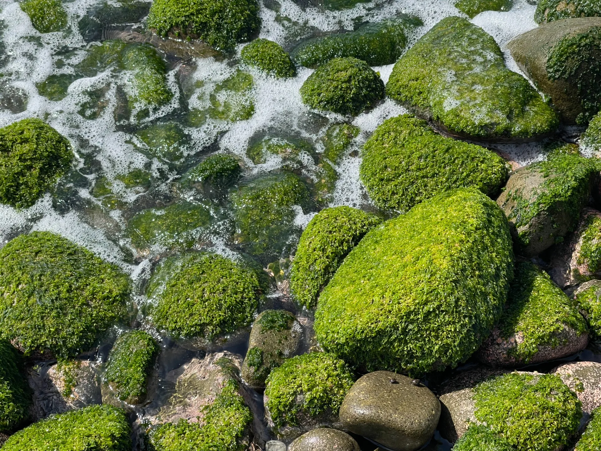 大学受験に向けたクメン法の理解と重要ポイント