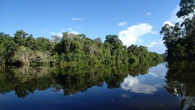 共通テストにおける理科・社会の第一解答科目の選び方とポイント