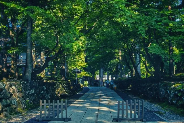 受験を乗り切るための体力と精神力の鍛え方