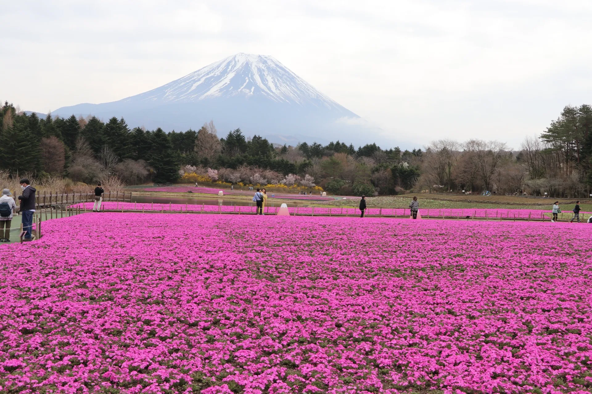【大学受験】高校生・高卒生対象　記述模試〔第1回〕