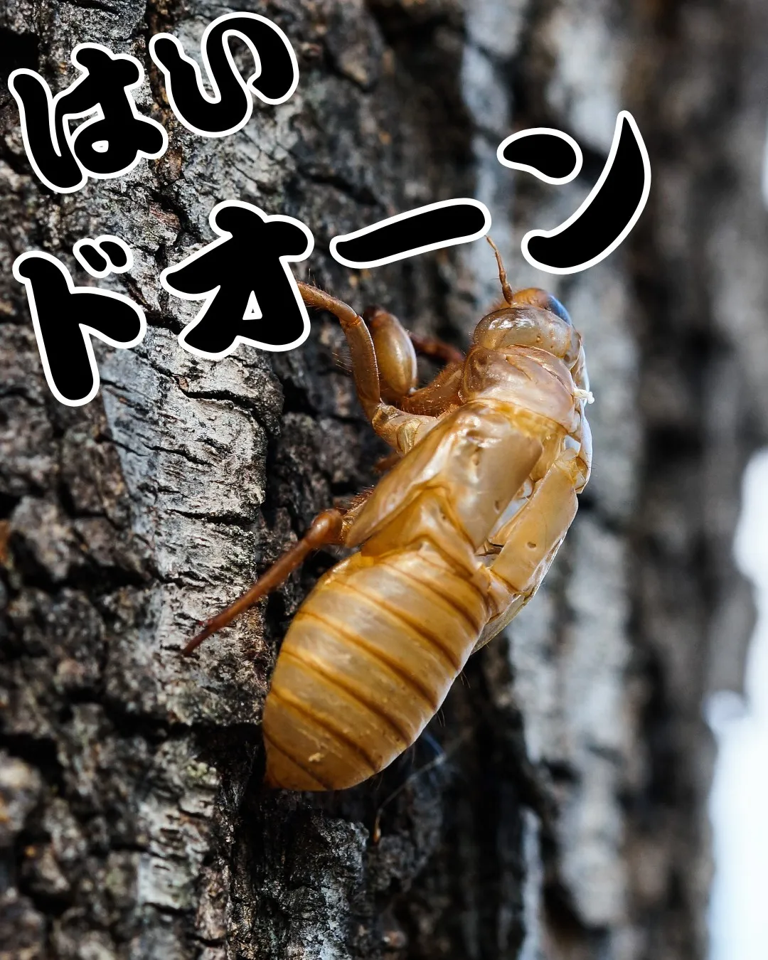 もーーーーーー!!🤣