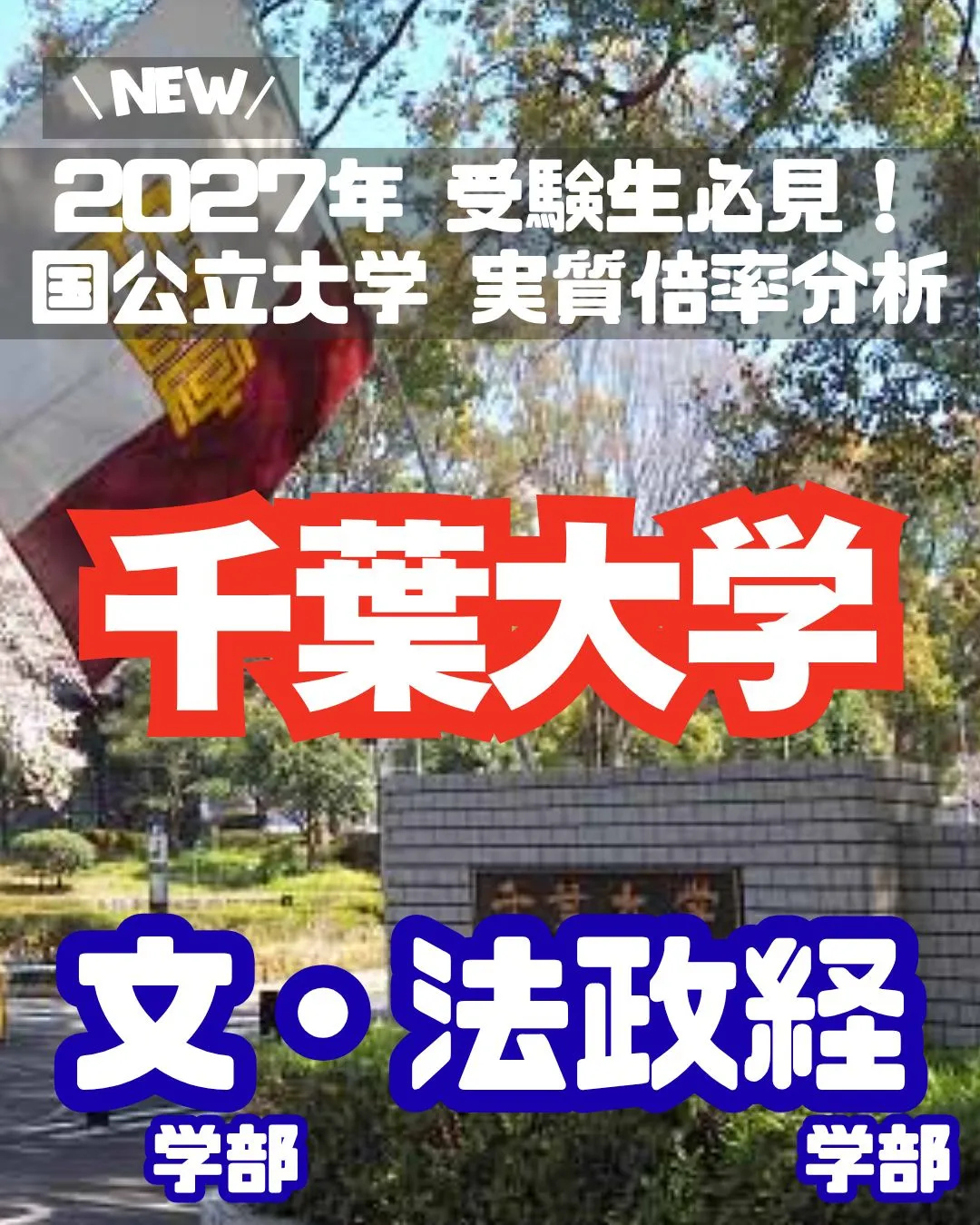 📊 2027年 受験生必見!【千葉大学 実質倍率分析 Par...