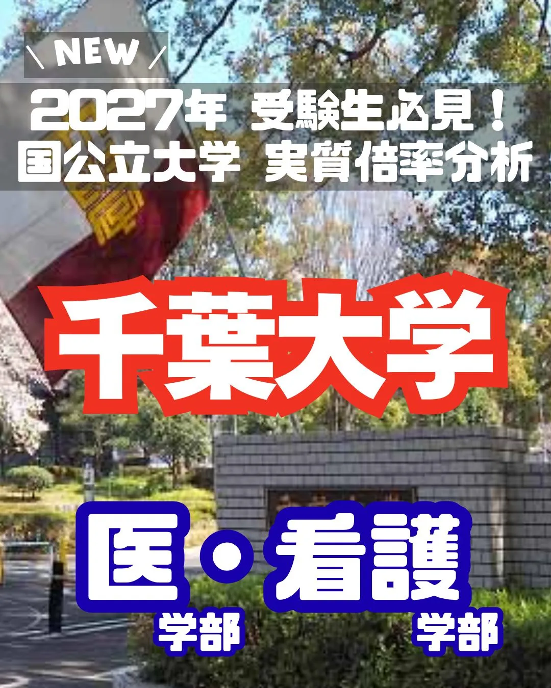 📊 2027年 受験生必見！【千葉大学 実質倍率分析 Par...