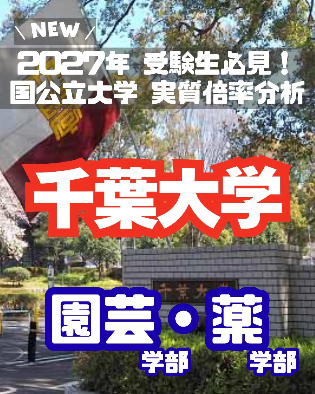 📊 2027年 受験生必見!【千葉大学 実質倍率分析 Par...