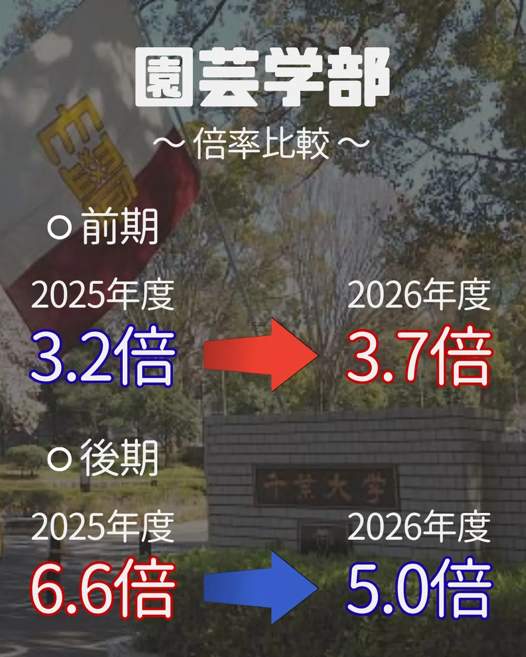 📊 2027年 受験生必見!【千葉大学 実質倍率分析 Par...