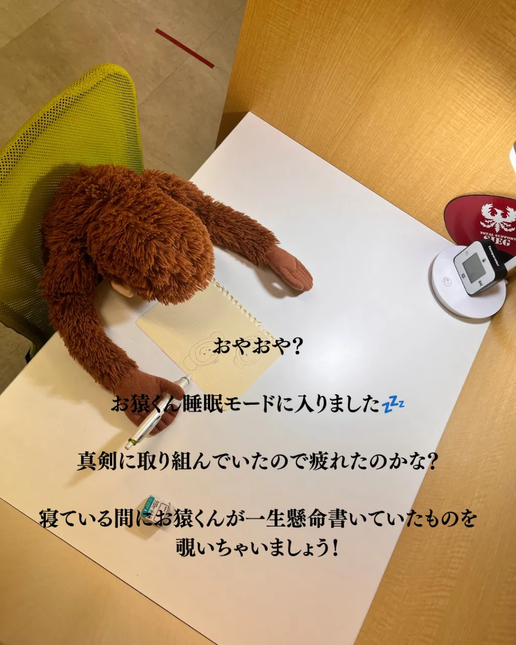 受験サポート塾SIEGでは、小学生・中学生・高校生を対象に学...