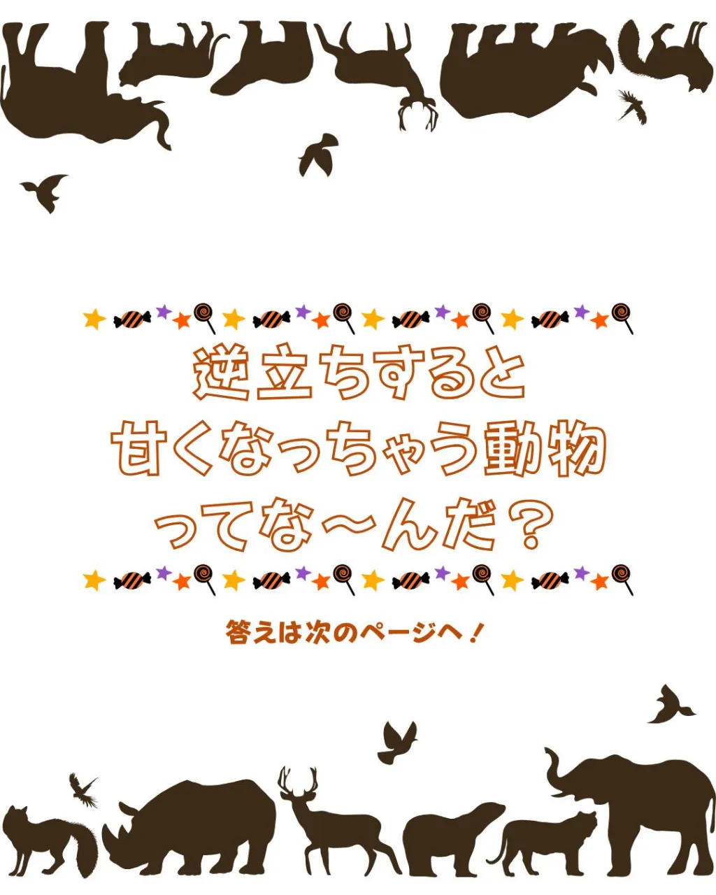 【ジークのまなびラボ】~逆立ちすると甘くなっちゃう動物ってな...